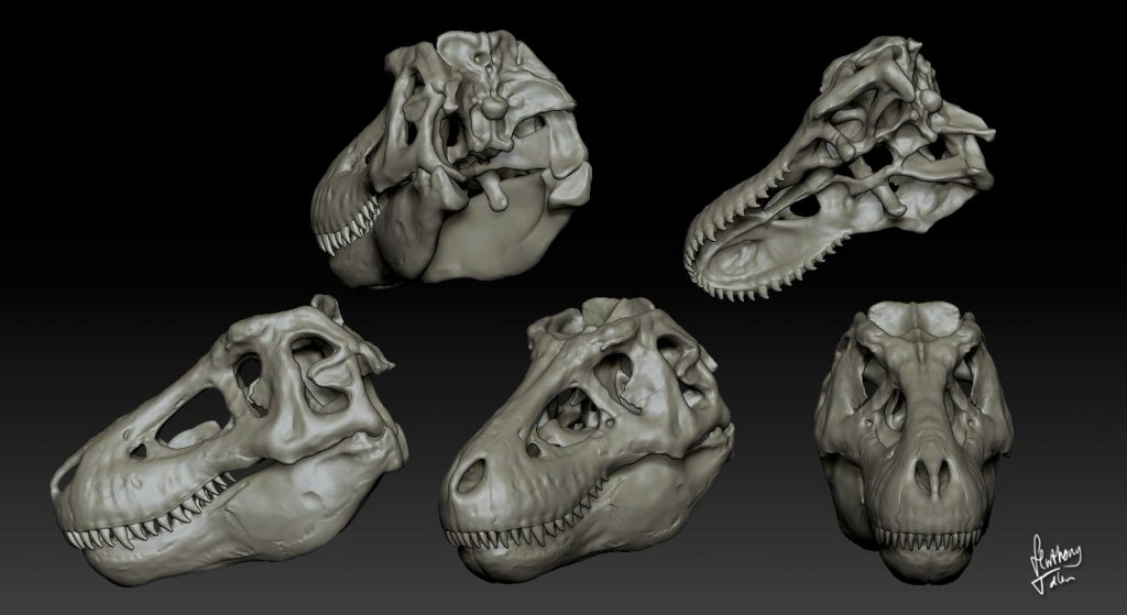 t rex skull dragon